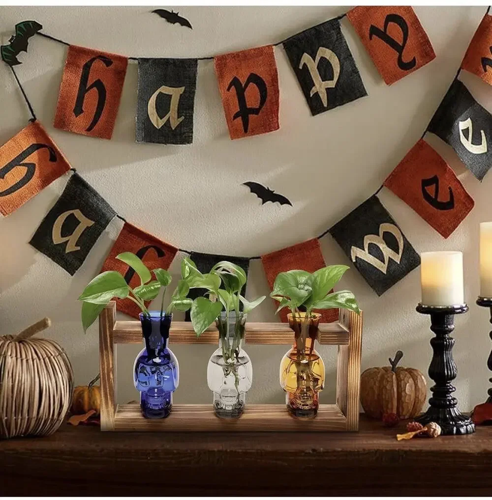 Halloween Skull Plant Terrarium Kit Glass Vases for Home Office Decor 3 Colors